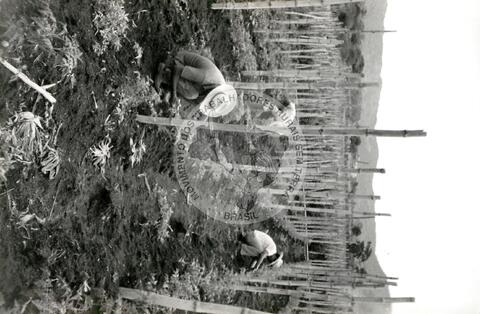 Original Digitaal object not accessible