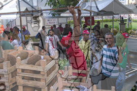 [Título n/d] : lote nº 002, pasta nº 001319, doc. nº 000068 [imagem] / Fotógrafo(a) : [autoria n/d].