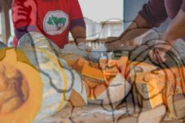 [Título n/d] : lote nº 002, pasta nº 001351, doc. nº 000464 [imagem] / Fotógrafo(a) : [autoria n/d].