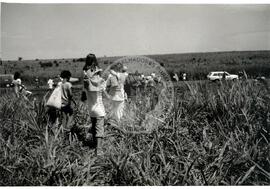 Grupo Projeto Liberdade-Despejo Fazenda Pandeny (São Paulo (Estado), [sem data]) [fotografia] / Fotógrafo(a) : Douglas Mansur. -- Ref.: BR-SPMST_MST-SN-CIN_AMP_001791-012954-VPP.