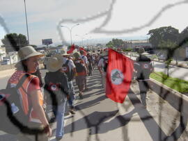 [Título n/d] : lote nº 002, pasta nº 000043, doc. nº 000124 [imagem] / Fotógrafo(a) : [autoria n/d].