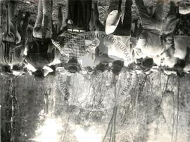 Ocupação de 2.700 famílias (Campo Erê-SC, 30 nov. 1987) [fotografia] / Fotógrafo(a) : Arquivo MST. -- Ref.: BR-SPMST_MST-SN-CIN_AMP_001828-013906-OCU.