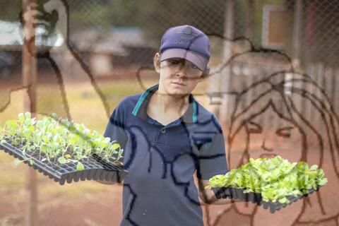 Original Objeto digital not accessible