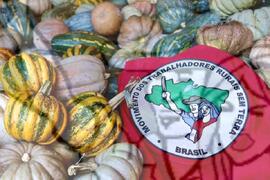 [Título n/d] : lote nº 002, pasta nº 001350, doc. nº 000172 [imagem] / Fotógrafo(a) : [autoria n/d].