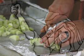 [Título n/d] : lote nº 002, pasta nº 001343, doc. nº 000001 [imagem] / Fotógrafo(a) : [autoria n/d].