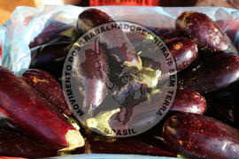 [Título n/d] : lote nº 002, pasta nº 001350, doc. nº 000192 [imagem] / Fotógrafo(a) : [autoria n/d].