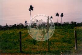 Curso de Agricultura Sustentável (Cuba, 1997) [fotografia] / Fotógrafo(a) : Arquivo MST. -- Ref.: BR-SPMST_MST-SN-CIN_AMP_001040-008271-RIT.