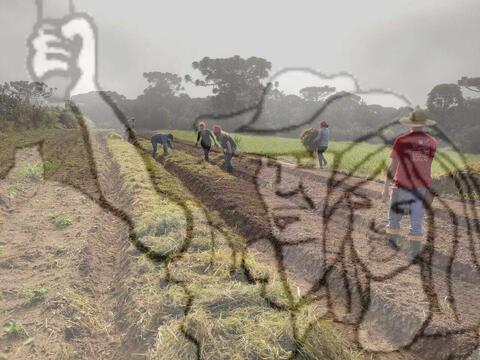 Original Objeto digital not accessible