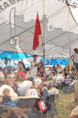 [Título n/d] : lote nº 002, pasta nº 000045, doc. nº 000144 [imagem] / Fotógrafo(a) : [autoria n/d].