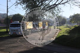 [Título n/d] : lote nº 002, pasta nº 001350, doc. nº 000196 [imagem] / Fotógrafo(a) : [autoria n/d].