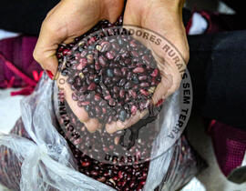 [Título n/d] : lote nº 002, pasta nº 001350, doc. nº 000058 [imagem] / Fotógrafo(a) : [autoria n/d].