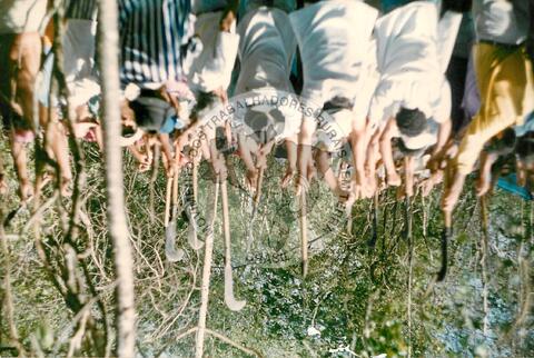 Original Document numérique not accessible