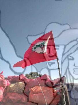 [Título n/d] : lote nº 002, pasta nº 001351, doc. nº 000459 [imagem] / Fotógrafo(a) : [autoria n/d].