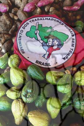 [Título n/d] : lote nº 002, pasta nº 001317, doc. nº 000093 [imagem] / Fotógrafo(a) : [autoria n/d].