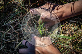 [Título n/d] : lote nº 002, pasta nº 001317, doc. nº 000074 [imagem] / Fotógrafo(a) : [autoria n/d].