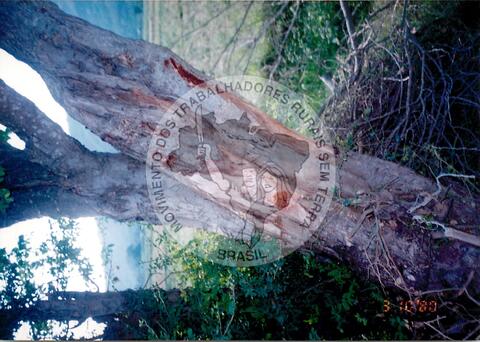 Original Document numérique not accessible