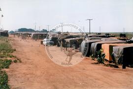Acampamento "Dandara" do MST (Nova Olímpia-SP, [sem data]) [fotografia] / Fotógrafo(a) : Douglas Mansur. -- Ref.: BR-SPMST_MST-SN-CIN_AMP_000050-000447-ACP.