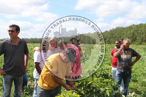 Original Objeto digital not accessible