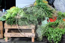 [Título n/d] : lote nº 002, pasta nº 001319, doc. nº 000042 [imagem] / Fotógrafo(a) : [autoria n/d].