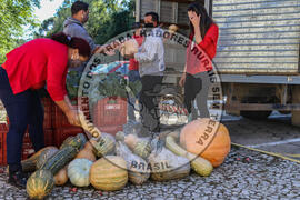 [Título n/d] : lote nº 002, pasta nº 001351, doc. nº 000030 [imagem] / Fotógrafo(a) : [autoria n/d].