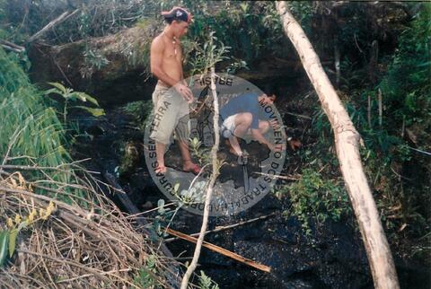 Original Digital object not accessible