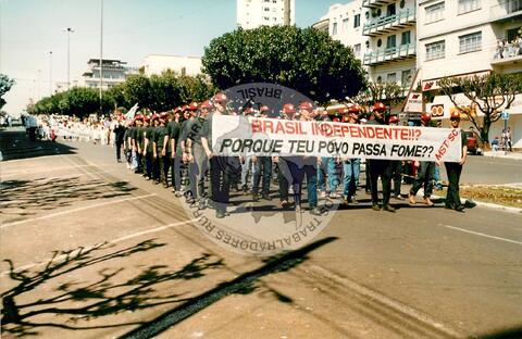 Original Digitaal object not accessible