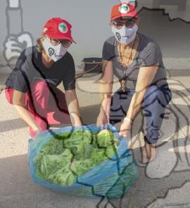 [Título n/d] : lote nº 002, pasta nº 001351, doc. nº 000135 [imagem] / Fotógrafo(a) : [autoria n/d].