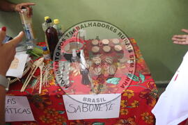 [Título n/d] : lote nº 002, pasta nº 000015, doc. nº 000173 [imagem] / Fotógrafo(a) : [autoria n/d].