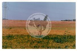 Acampamento "Guarantã" (São Paulo (Estado), jul. 1998) [fotografia] / Fotógrafo(a) : Douglas Mansur. -- Ref.: BR-SPMST_MST-SN-CIN_AMP_000045-000204-ACP.