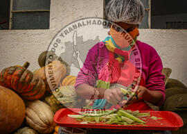 [Título n/d] : lote nº 002, pasta nº 001351, doc. nº 000384 [imagem] / Fotógrafo(a) : [autoria n/d].