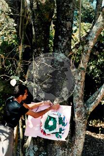 Original Digitaal object not accessible