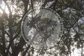 [Título n/d] : lote nº 002, pasta nº 000008, doc. nº 000019 [imagem] / Fotógrafo(a) : [autoria n/d].