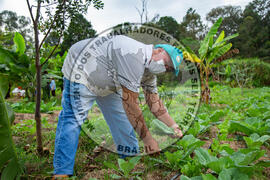 [Título n/d] : lote nº 002, pasta nº 001317, doc. nº 000025 [imagem] / Fotógrafo(a) : [autoria n/d].