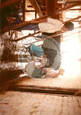 Assentamento "Rondada" do MST (Rondada-RS, [sem data]) [fotografia] / Fotógrafo(a) : Nelsinho ; Ernestino. -- Ref.: BR-SPMST_MST-SN-CIN_AMP_000189-001333-ASS.