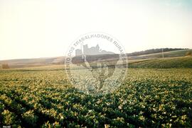 Assentamento "Fazenda Novo Holandês" do MST (Rio Grande do Sul, [sem data]) [fotografia] / Fotógrafo(a) : Bernado ; Nelsinho ; Volnei. -- Ref.: BR-SPMST_MST-SN-CIN_AMP_000182-001295-ASS.