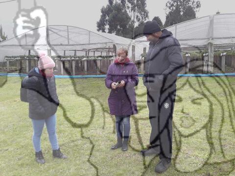 Original Objeto digital not accessible