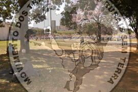 [Título n/d] : lote nº 002, pasta nº 000044, doc. nº 000364 [imagem] / Fotógrafo(a) : [autoria n/d].