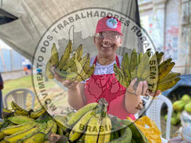 [Título n/d] : lote nº 002, pasta nº 001320, doc. nº 000015 [imagem] / Fotógrafo(a) : [autoria n/d].