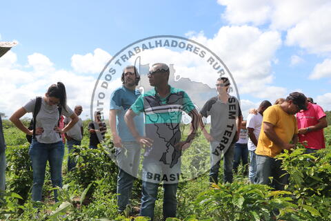 Original Objeto digital not accessible