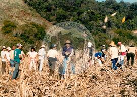 Assentamento "30 de outubro" do MST (Santa Catarina, [sem data]) [fotografia] / Fotógrafo(a) : Douglas Mansur. -- Ref.: BR-SPMST_MST-SN-CIN_AMP_000199-001489-ASS.