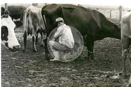 Produção Assentamento S. Miguel (Paraná, [sem data]) [fotografia] / Fotógrafo(a) : Arquivo MST. -- Ref.: BR-SPMST_MST-SN-CIN_AMP_001994-015227-PDU.