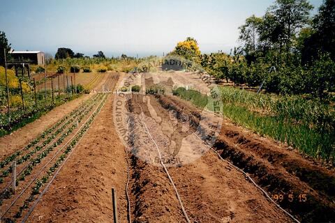 Original Digitaal object not accessible