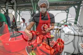 [Título n/d] : lote nº 002, pasta nº 001351, doc. nº 000235 [imagem] / Fotógrafo(a) : [autoria n/d].