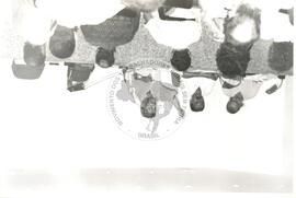 Luís Inácio Lula da Silva (Brasil, [sem data]) [fotografia] / Fotógrafo(a) : Arquivo MST ; Carlos Carvalho ; Clóvis Ferreira ; Douglas Mansur ; Olivio Lamas ; Volnei Malfoy ; Regina Vilela ; Folha Imagem ; . -- Ref.: BR-SPMST_MST-SN-CIN_AMP_001623-012319-PER.