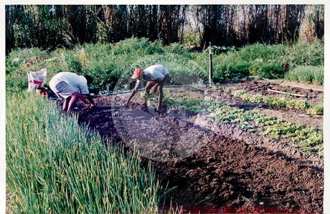 Original Digitaal object not accessible