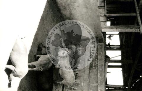 Original Digitaal object not accessible