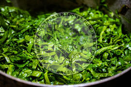 [Título n/d] : lote nº 002, pasta nº 001324, doc. nº 000040 [imagem] / Fotógrafo(a) : [autoria n/d].