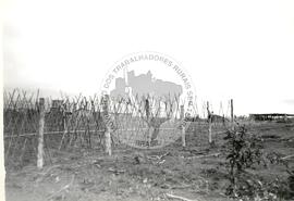 Assentamento "1º de Abril" do MST (São Paulo (Estado), [sem data]) [fotografia] / Fotógrafo(a) : Arquivo MST. -- Ref.: BR-SPMST_MST-SN-CIN_AMP_000350-001681-ASS.