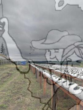 [Título n/d] : lote nº 002, pasta nº 000033, doc. nº 000064 [imagem] / Fotógrafo(a) : [autoria n/d].