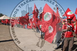 [Título n/d] : lote nº 002, pasta nº 000049, doc. nº 000016 [imagem] / Fotógrafo(a) : [autoria n/d].